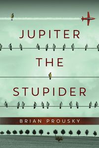 Produktbild: Jupiter the Stupider