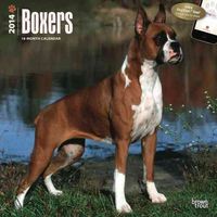 Produktbild: Boxers Calendar