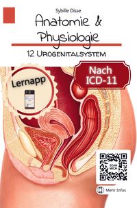 Bild vom Artikel Anatomie & Physiologie Band 12: Urogenitalsystem vom Autor Sybille Disse