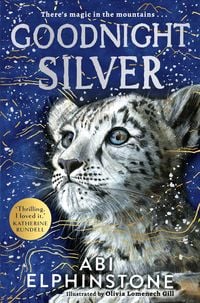 Produktbild: Goodnight Silver