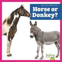 Produktbild: Horse or Donkey?