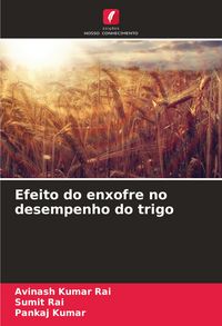Produktbild: Efeito do enxofre no desempenho do trigo