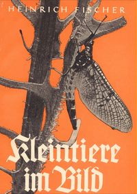 Produktbild: Kleintiere im Bild