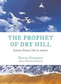 Produktbild: Gessner, D: Prophet of Dry Hill