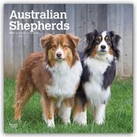 Produktbild: Australian Shepherds 2027 &ndash; 16-Monatskalender