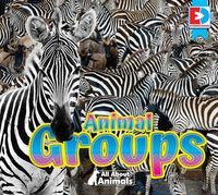 Produktbild: All about Animals - Animal Groups