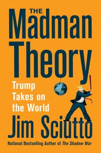 Produktbild: Madman Theory