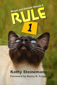 Produktbild: Rule 1: Megan and Emmett Volume II