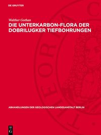 Produktbild: Die Unterkarbon-Flora der Dobrilugker Tiefbohrungen