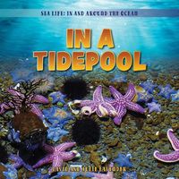 Produktbild: In a Tidepool