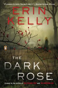 Produktbild: The Dark Rose