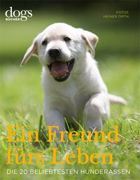 Produktbild: DOGS. Ein Freund f&uuml;rs Leben