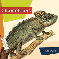 Produktbild: Chameleons