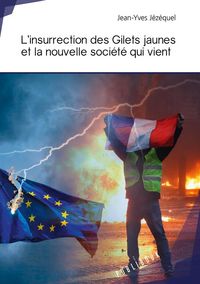 Produktbild: L insurrection des gilets jaunes