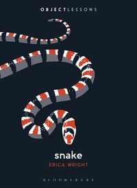 Produktbild: Snake