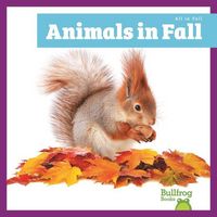 Produktbild: Animals in Fall