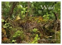 Produktbild: Wald (Wandkalender 2026 DIN A2 quer), CALVENDO Monatskalender