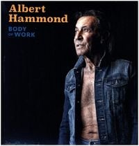 Produktbild: Body Of Work, 2 Schallplatte (Black Vinyl)