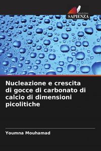 Produktbild: Nucleazione e crescita di gocce di carbonato di calcio di dimensioni picolitiche