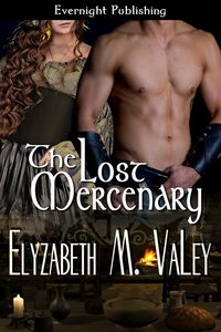 Produktbild: The Lost Mercenary