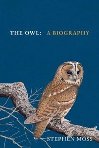 Produktbild: The Owl