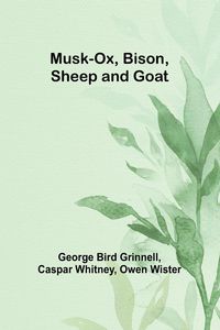 Produktbild: Musk-Ox, Bison, Sheep and Goat