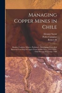 Produktbild: Managing Copper Mines in Chile