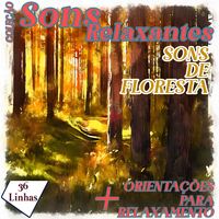 Produktbild: Cole&ccedil;&atilde;o Sons Relaxantes - sons de floresta