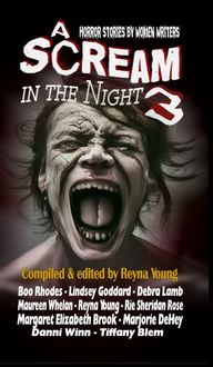 Produktbild: A Scream in the Night 3