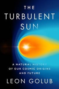 Produktbild: The Turbulent Sun