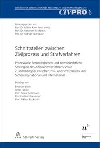 Produktbild: Schnittstellen zwischen Zivilprozess und Strafverfahren