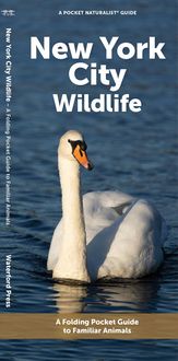 Produktbild: New York City Wildlife