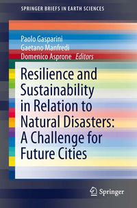 Produktbild: Resilience and Sustainability in Relation to Natural Disasters: A Challenge for Future Cities