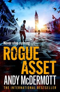 Produktbild: Rogue Asset