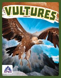 Produktbild: Vultures
