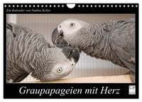 Produktbild: Graupapageien mit Herz (Wandkalender 2026 DIN A4 quer), CALVENDO Monatskalender