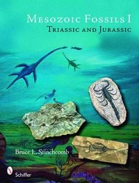 Produktbild: Mesozoic Fossils