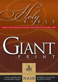 Produktbild: Giant Print Bible-NASB-Handy-Size