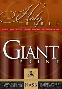 Produktbild: Giant Print Handy-Size Bible-NASB