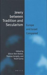 Produktbild: Jewry Between Tradition and Secularism