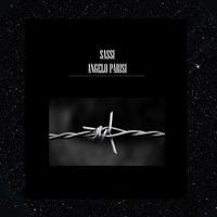 Produktbild: Sassi