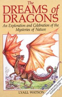 Produktbild: The Dreams of Dragons