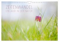 Produktbild: Zeitenwandel - Ein Jahr in der Natur (Wandkalender 2026 DIN A4 quer), CALVENDO Monatskalender