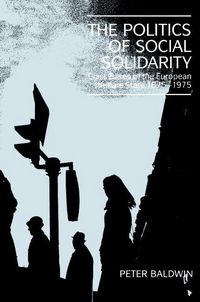 Produktbild: The Politics of Social Solidarity