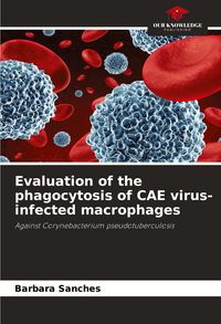 Produktbild: Evaluation of the phagocytosis of CAE virus-infected macrophages