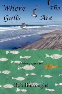 Produktbild: Where the Gulls Are