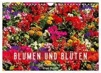 Produktbild: Blumen und Bl&uuml;ten (Wandkalender 2026 DIN A4 quer), CALVENDO Monatskalender