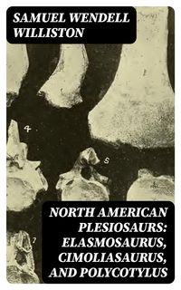 Produktbild: North American Plesiosaurs: Elasmosaurus, Cimoliasaurus, and Polycotylus