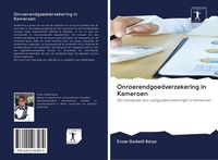 Produktbild: Onroerendgoedverzekering in Kameroen