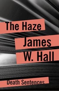 Produktbild: The Haze